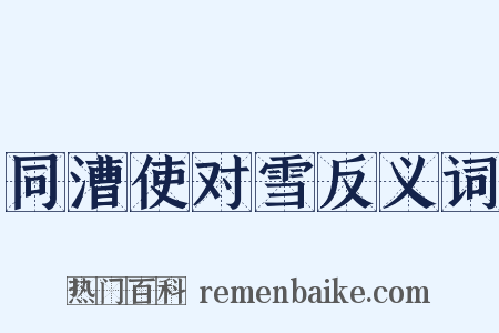 同漕使对雪反义词是什么意思的图片